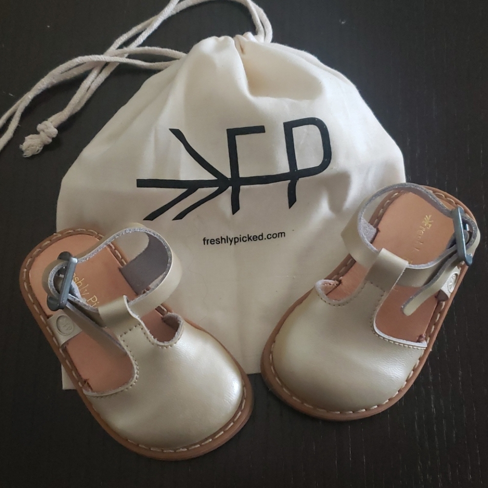 Freshly Picked platinum clogs